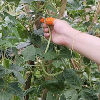 gardening thumb 6 1