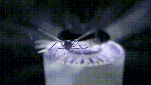 mosquito flies killer trap 15 1
