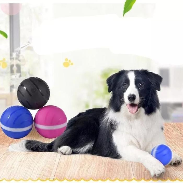 peppy pet ball interactive pet ball top rated yyt 5 1